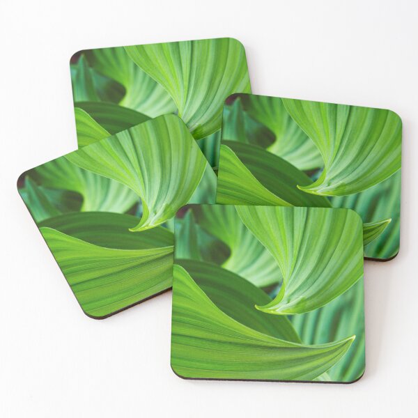Item preview, Corn Lilies, Mount Baker National Forest, Washington, USA designed and sold by Tom  Mackie.