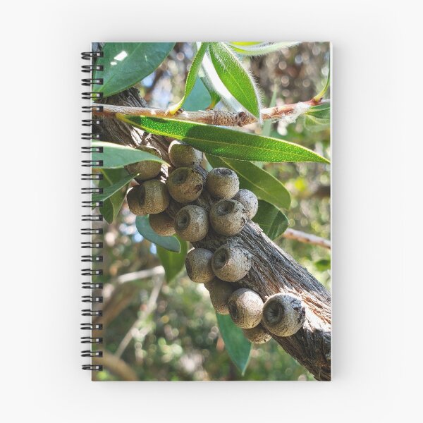 Item preview, Bottlebrush designed and sold by TheArtOfTreble.
