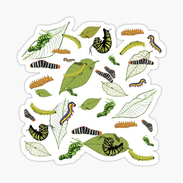 Caterpillars Sticker