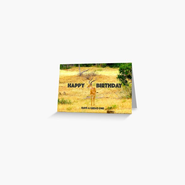 Birthday Card Greeting Card