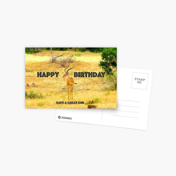 Birthday Card Postcard