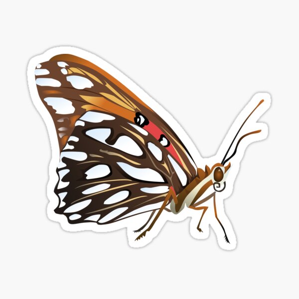 Item preview, Gulf Fritillary designed and sold by jfmclaughlin92.
