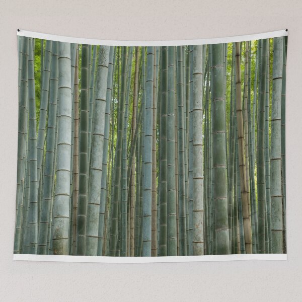 Item preview, Bamboo forest, Sagano, Arashiyama, Kyoto, Japan designed and sold by Tom Mackie.
