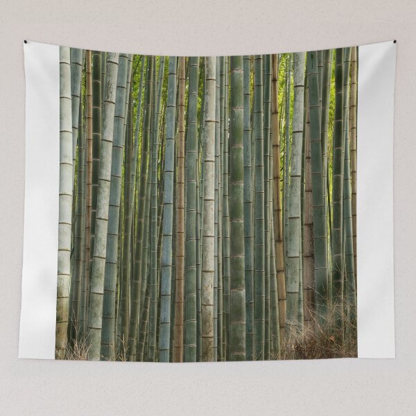 Item preview, Bamboo forest, Sagano, Arashiyama, Kyoto, Japan designed and sold by Tom Mackie.