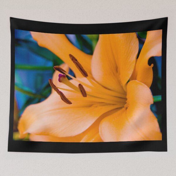 Item preview, Show Off designed and sold by absolutemagik.