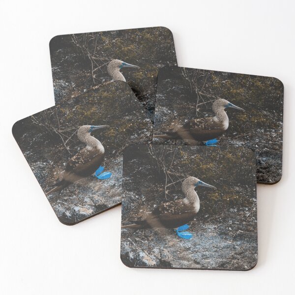 Item preview, Blue Booby designed and sold by Filip Hudcovic.