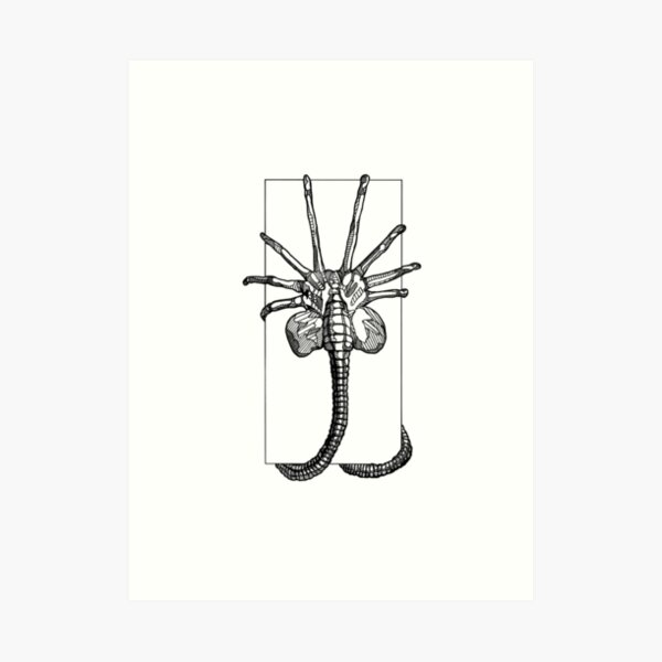 Matt Maddocks - BarnstapleCCC Art Print