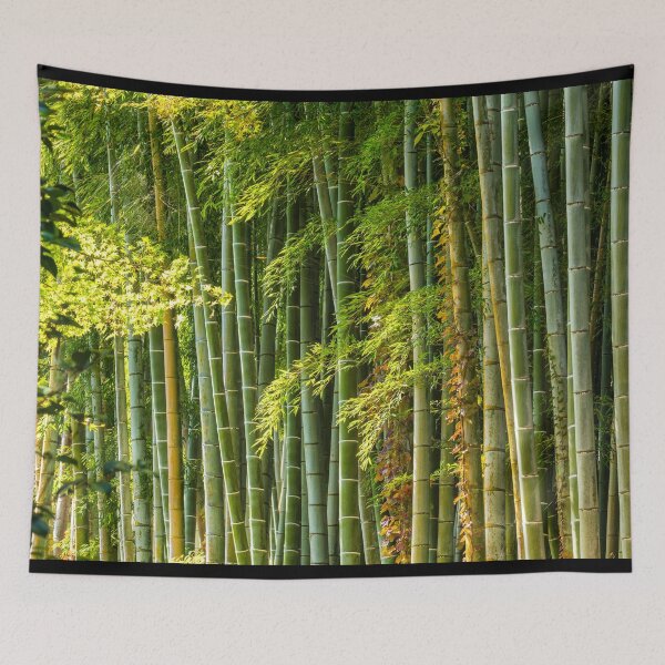 Item preview, Bamboo Forest, Sagano, Arashiyama, Kyoto, Japan designed and sold by Tom Mackie.