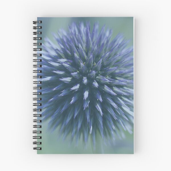Artikelvorschau, Kugel Blume Zierlauch Blüten Blau Schilfton Farbtrend2021 Floral Graublau entworfen und verkauft von Forestia.