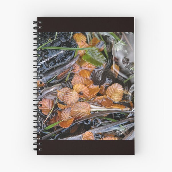Item preview, Fagus leaves in a small pool, Hanson's Track, Cradle Mountain,Tasmania. designed and sold by kaysharp.