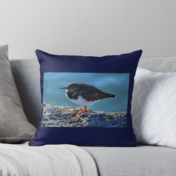 Item preview, Turnstone Bird.........Lyme Dorset UK designed and sold by lynn carter.