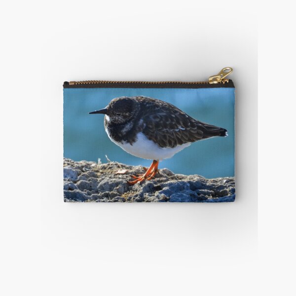 Item preview, Turnstone Bird.........Lyme Dorset UK designed and sold by lynn carter.