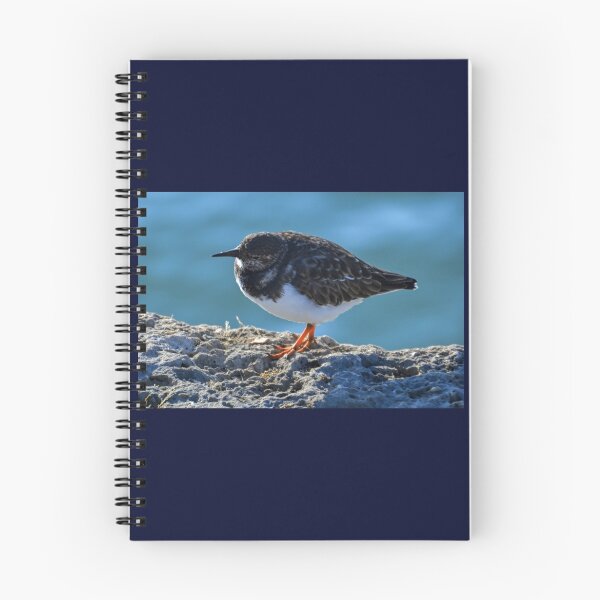 Item preview, Turnstone Bird.........Lyme Dorset UK designed and sold by lynn carter.
