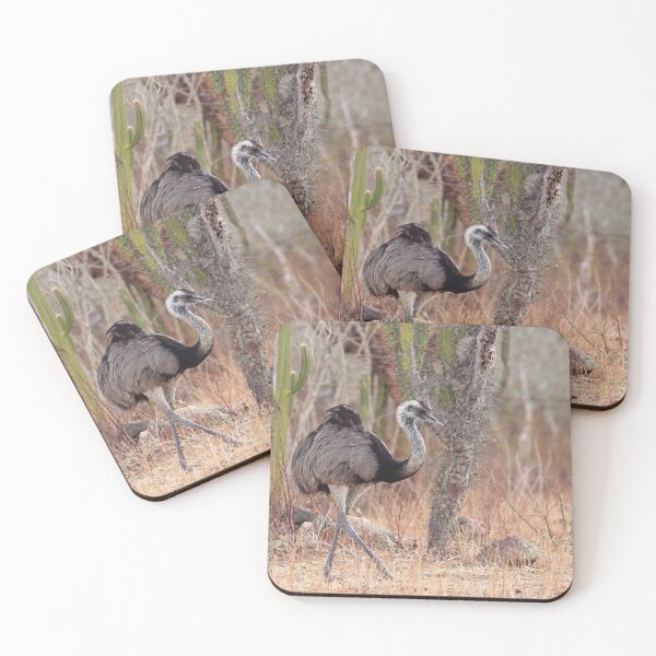 Item preview,  Greater Rhea (Rhea americana) male, walking in the Brazilian caatinga. Bahia Brazil designed and sold by Rafael  Cerqueira.