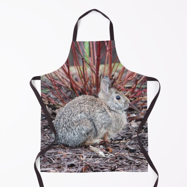 Item preview, Bunny 5 designed and sold by Susie Kramer.