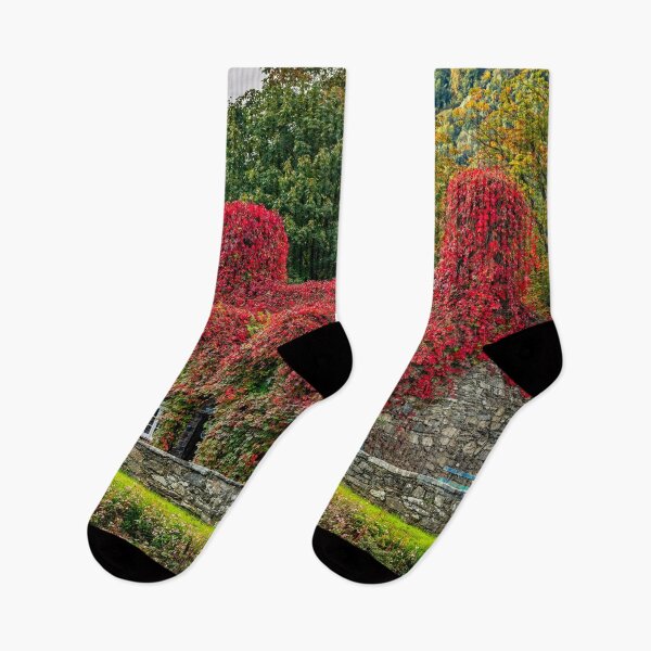Item preview, Autumn Tea House Llanrwst Wales designed and sold by AJEvans.