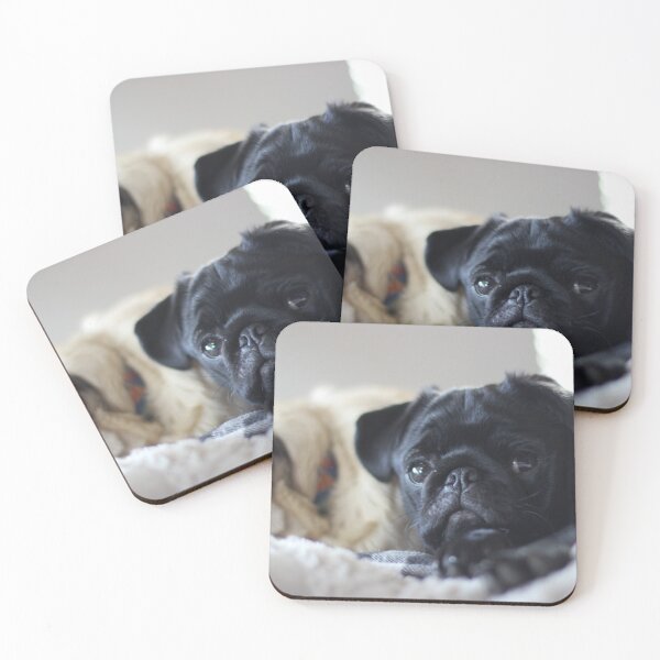 Item preview, Black Pugs on Hope  designed and sold by SilentlyRob668.