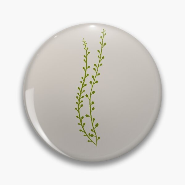 Item preview, Strings of Pearls (Senecio rowleyanus) | Plant illustration designed and sold by RebeccaCeleste.