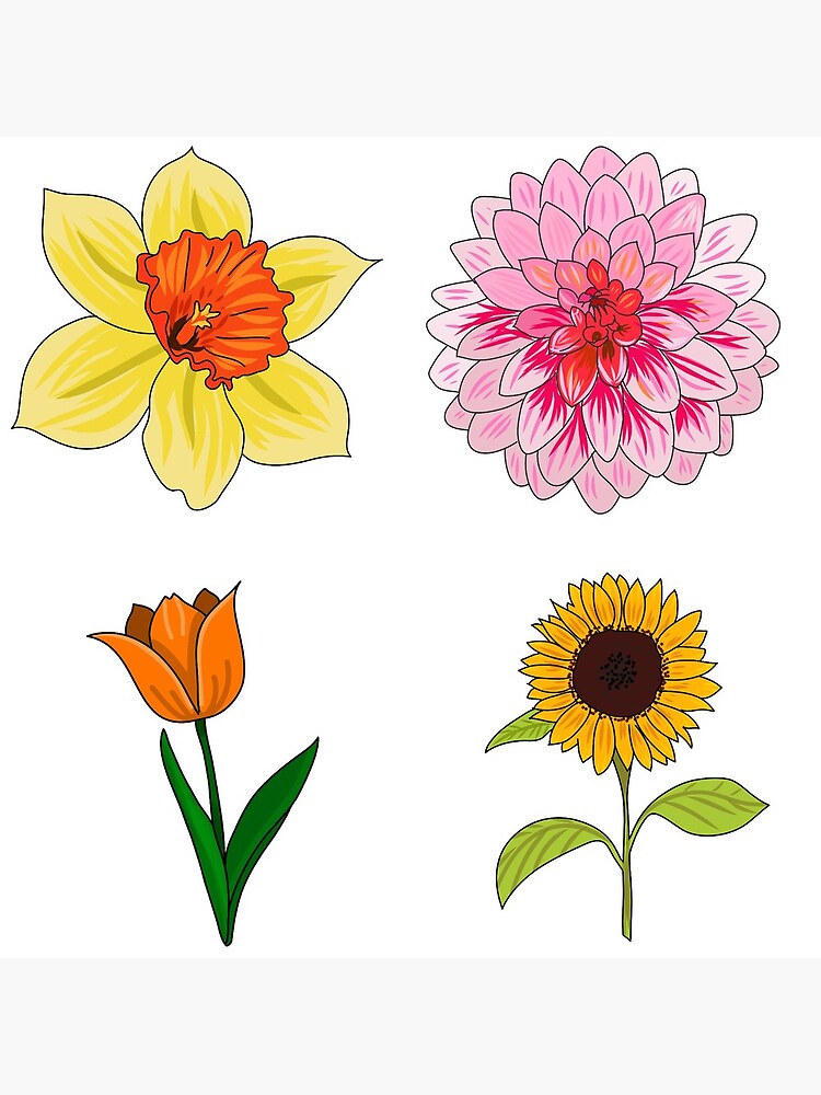 VintageFlowers4, assorted-type flowers arts, png | PNGEgg