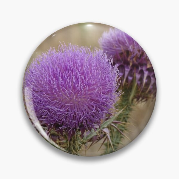 Item preview, Thistles in Greece designed and sold by Catavan.