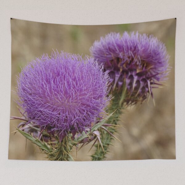 Item preview, Thistles in Greece designed and sold by Catavan.