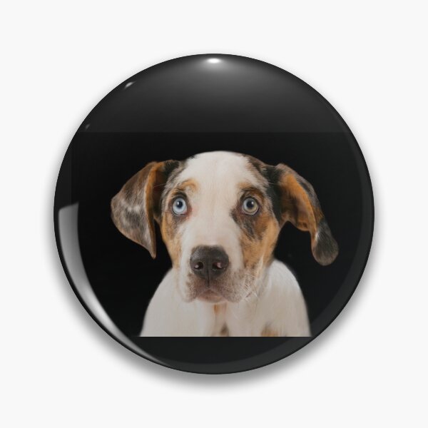 Item preview, Kopie von Catahoula Leopard dog Masks designed and sold by Toffy2222.