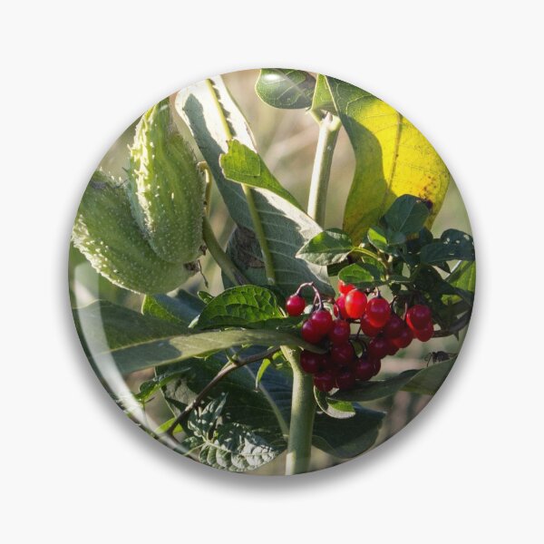 Item preview, Milk Weed and Red Berries designed and sold by Susie Kramer.