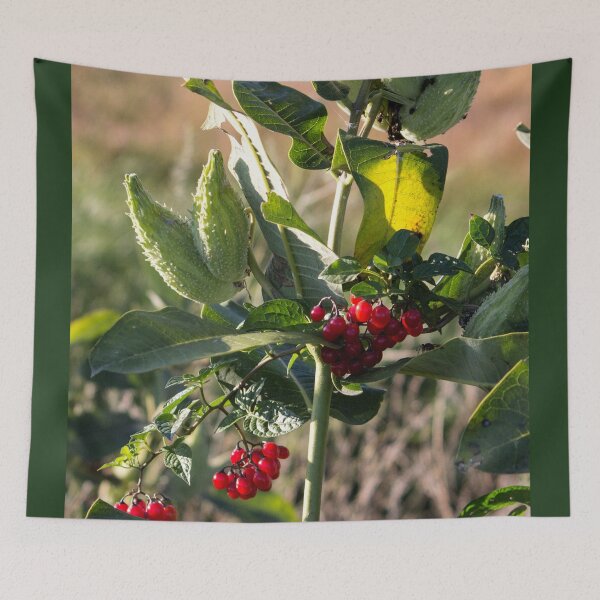 Item preview, Milk Weed and Red Berries designed and sold by Susie Kramer.
