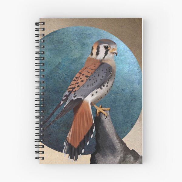Item preview, American kestrel bird background illustration designed and sold by nightlyforest.