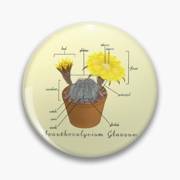 Item preview, Acanthocalycium Glaucum designed and sold by beanygeek.