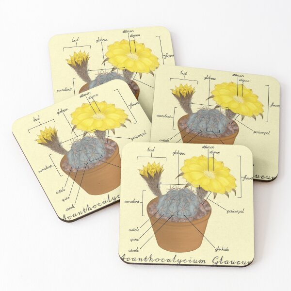Item preview, Acanthocalycium Glaucum designed and sold by beanygeek.