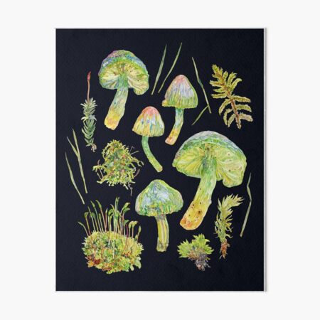 Parrot Toadstools and Moss - Dark Art Board Print