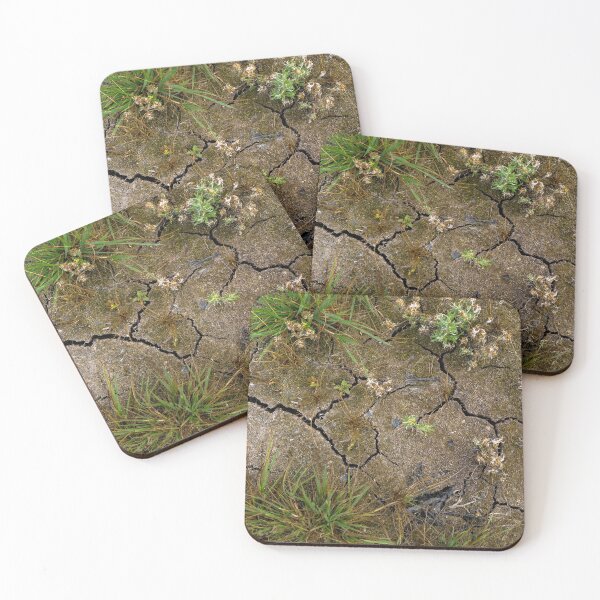 Item preview, So very dry designed and sold by Kirsberry.