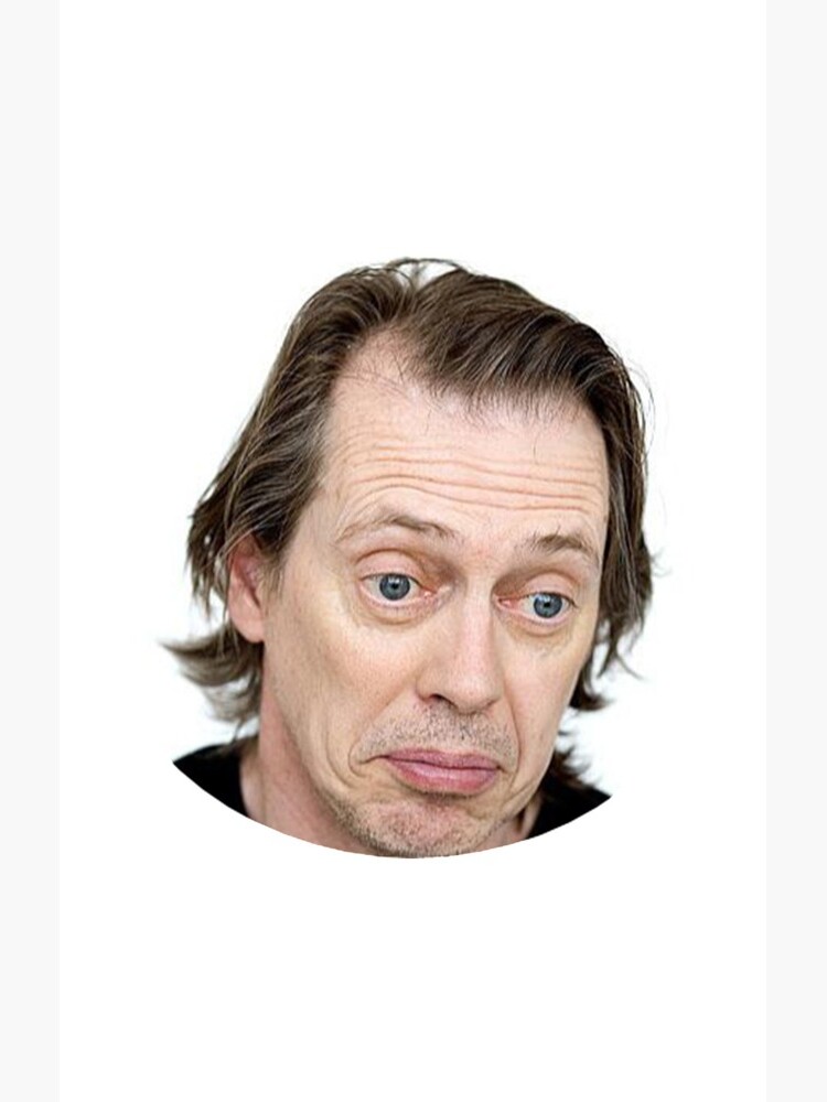 Steve Buscemi Meme Funny