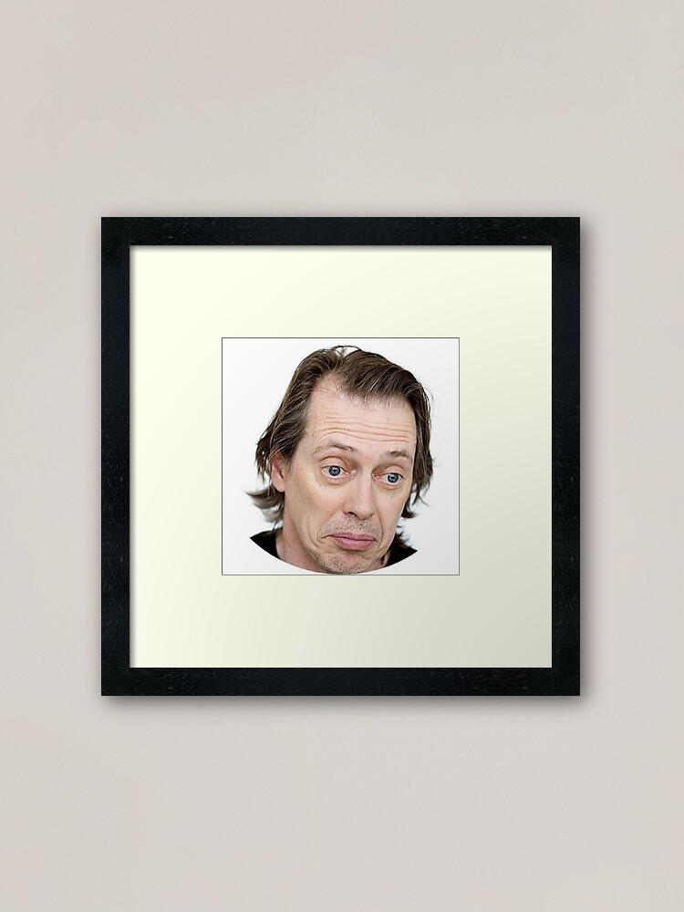 Steve Buscemi Meme Funny