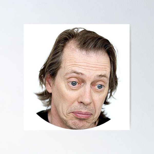 Steve Buscemi Meme Funny