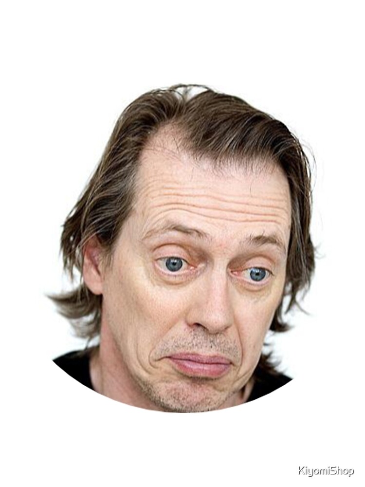 Steve Buscemi Meme Funny