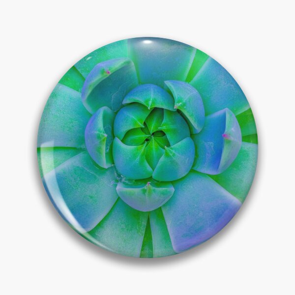 Item preview, Sempervivum is a Crassulaceae,  quite pretty and succulent. Unlike our prickly leader  who is vile and truculent. designed and sold by alan shapiro.