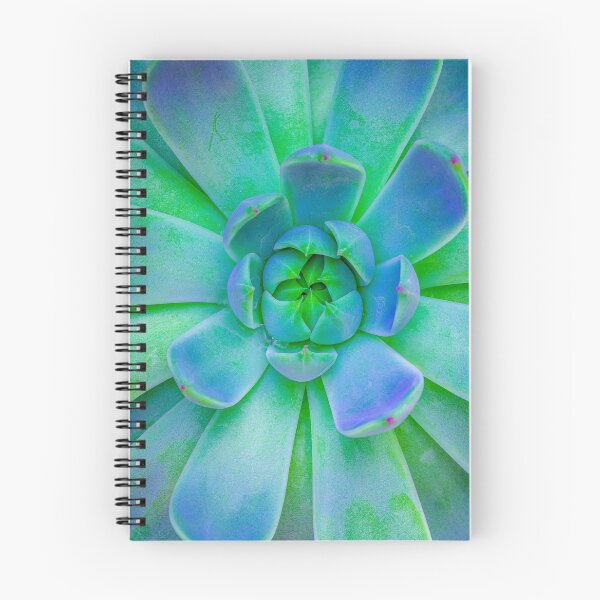 Item preview, Sempervivum is a Crassulaceae,  quite pretty and succulent. Unlike our prickly leader  who is vile and truculent. designed and sold by alan shapiro.