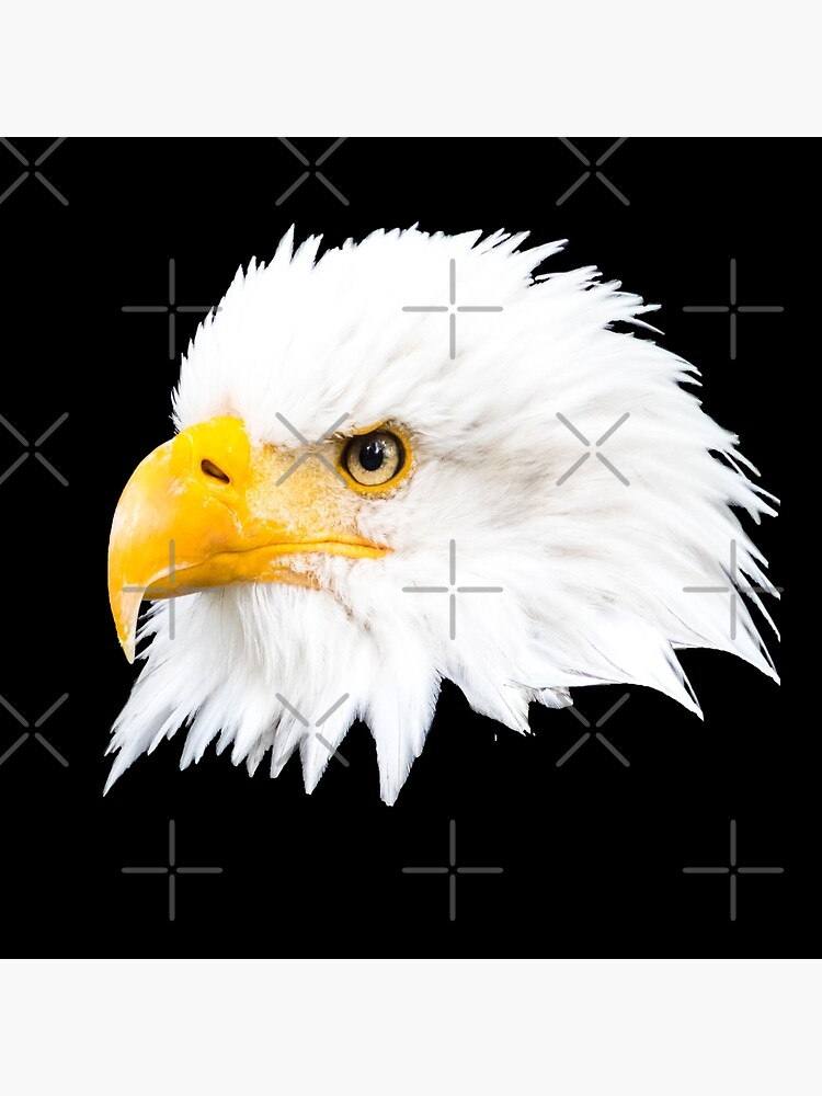 Thumbnail 2 von 2, Stofftasche, Weißkopfseeadler designt und verkauft von Igelchen.