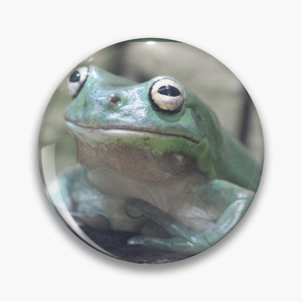 Item preview, Froggy Close Up designed and sold by KaiydoRose.