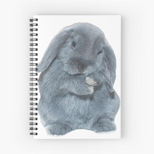 Item preview, A Grey Mini Lop Bunny Rabbit Art designed and sold by CarnageC.