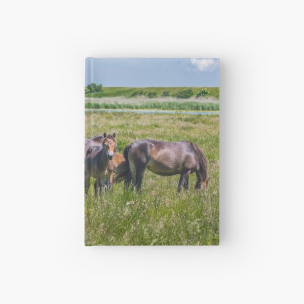 Wild horses enjoying Danish summer Hardcover Journal