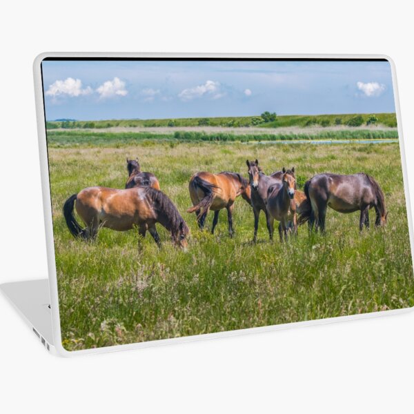 Wild horses enjoying Danish summer Laptop Skin