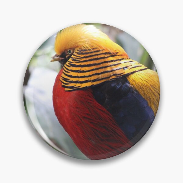Item preview, Chinese Pheasant  designed and sold by KaiydoRose.