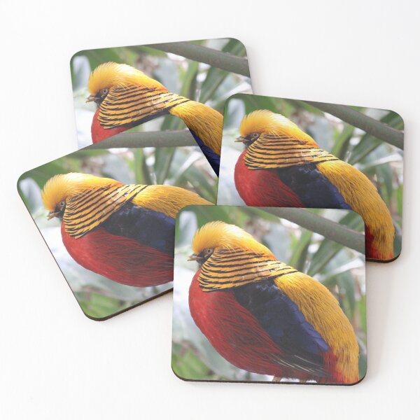 Item preview, Chinese Pheasant  designed and sold by KaiydoRose.