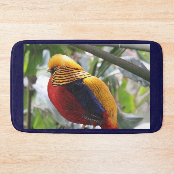 Item preview, Chinese Pheasant  designed and sold by KaiydoRose.