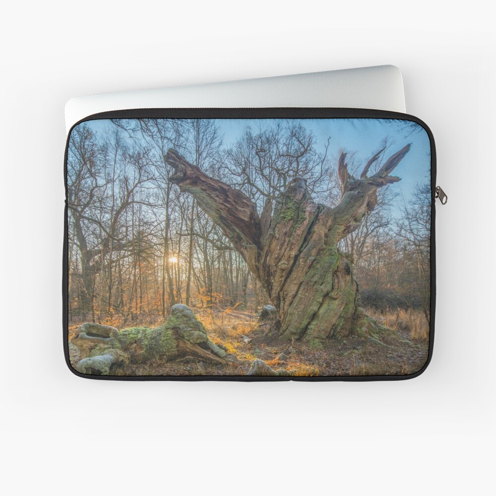 Sunrise with dying old oak - or a troll frozen in time Laptop Sleeve