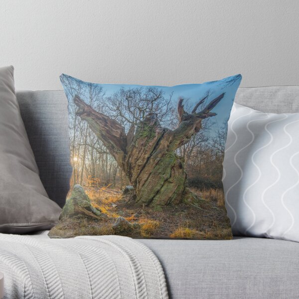 Sunrise with dying old oak - or a troll frozen in time Throw Pillow