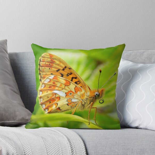 Item preview, Butterfly in the forest: Pearl-bordered fritillary designed and sold by Poliphilo.